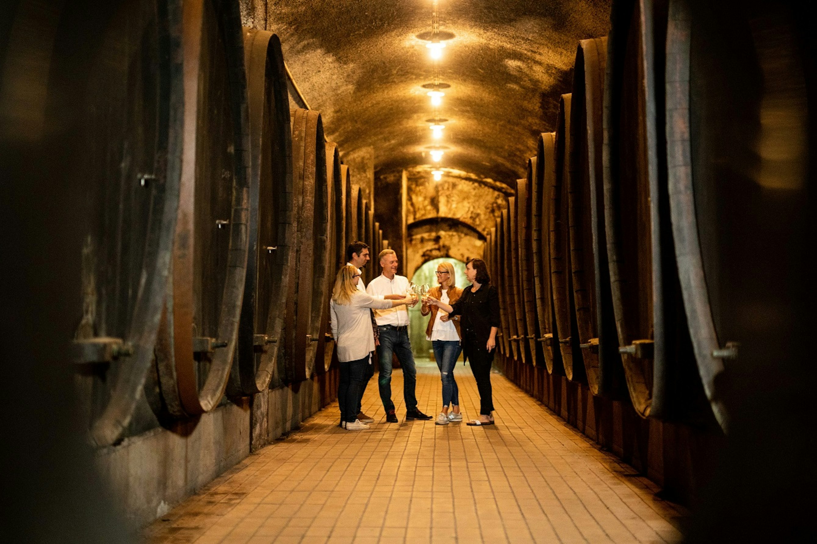 Vinagova klet Maribor